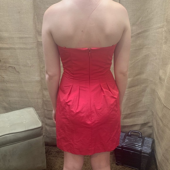 ⚡️BCBG Maxazria Tube Ruffle Dress⚡️ - Picture 6 of 8